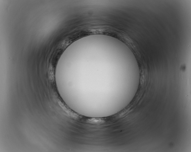 X0000112150477200908071007