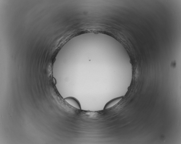 X0000112150478200908071007