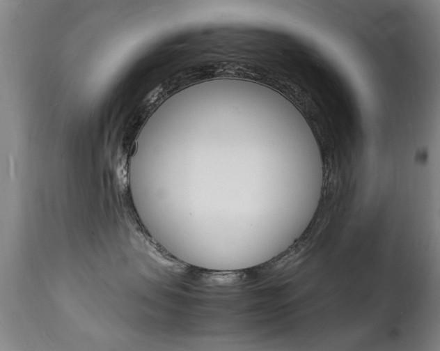 X0000112150479200908071007
