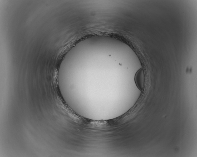 X0000112150480200908071007