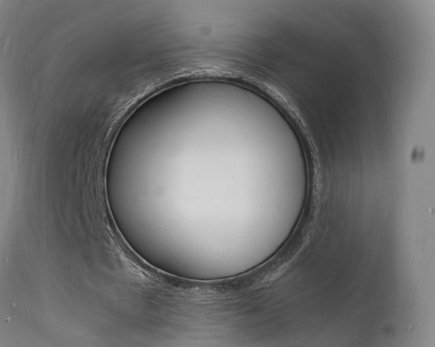 X0000112150481200908071007