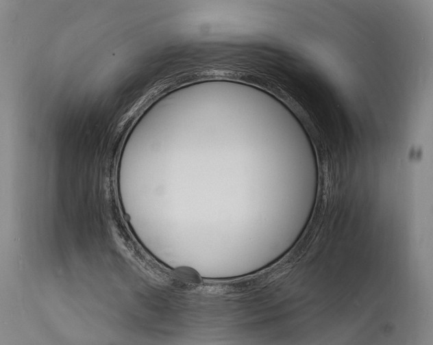 X0000112150482200908071007