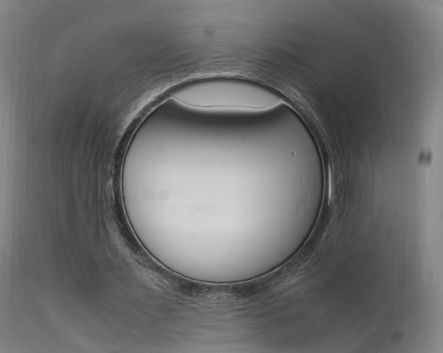 X0000112150483200908071007