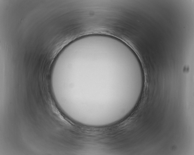 X0000112150485200908071006