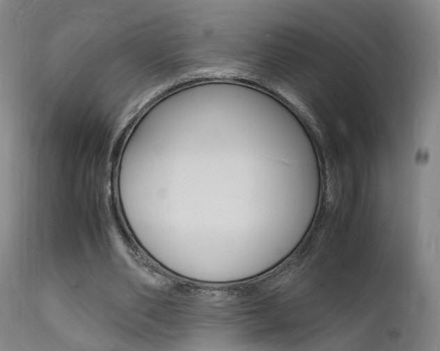 X0000112150486200908071006