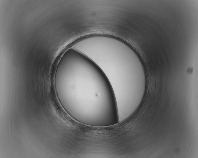 X0000112150488200908071006