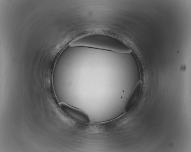X0000112150489200908071006