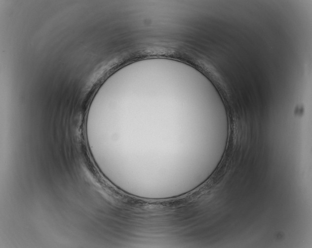 X0000112150490200908071006