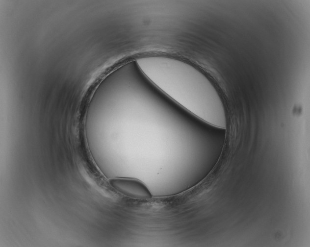 X0000112150492200908071006
