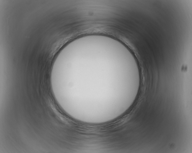 X0000112150493200908071006