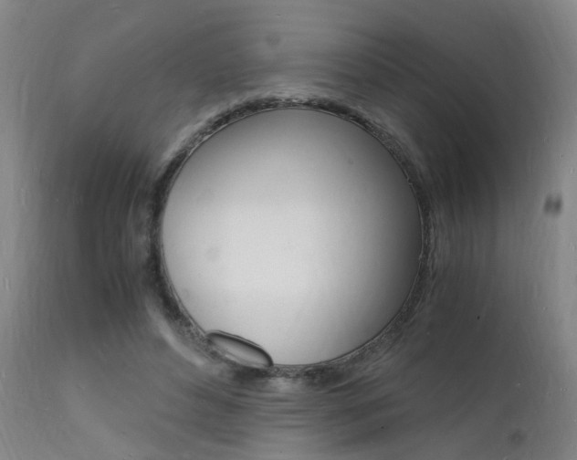 X0000112150496200908071006