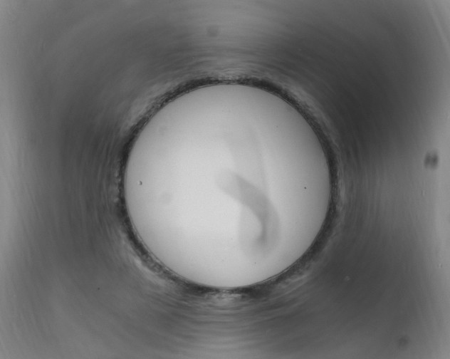 X0000112150497200908071006