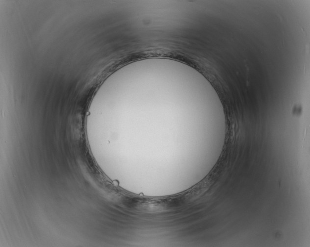 X0000112150498200908071006