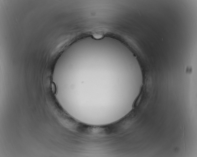 X0000112150501200908071006