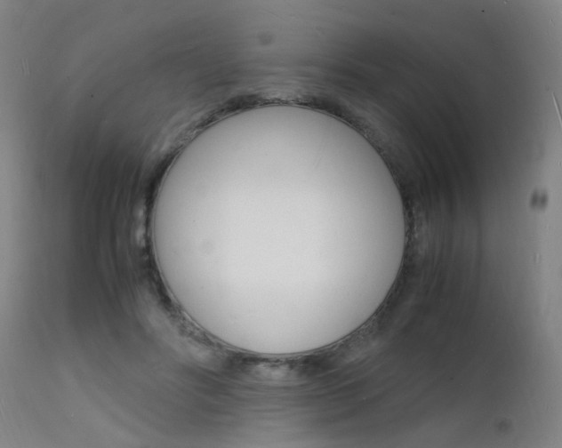 X0000112150502200908071006