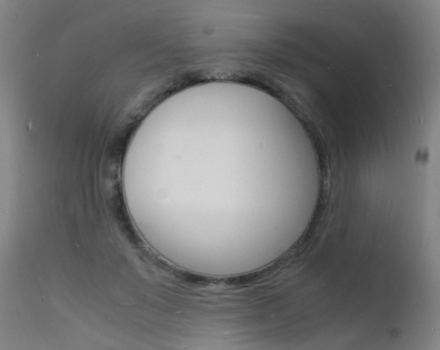 X0000112150503200908071006