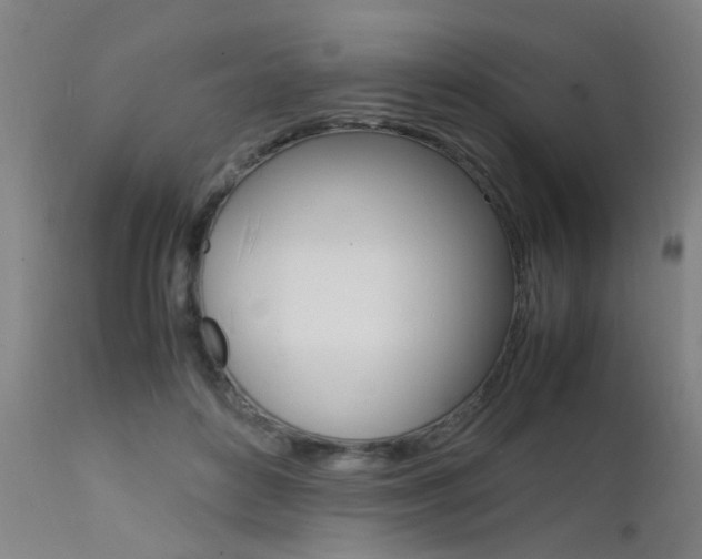 X0000112150504200908071006