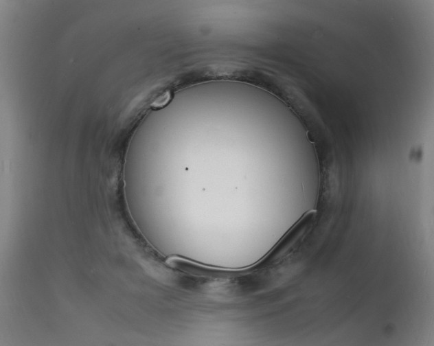 X0000112150505200908071006