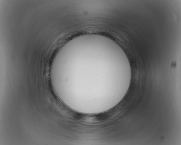 X0000112150507200908071006