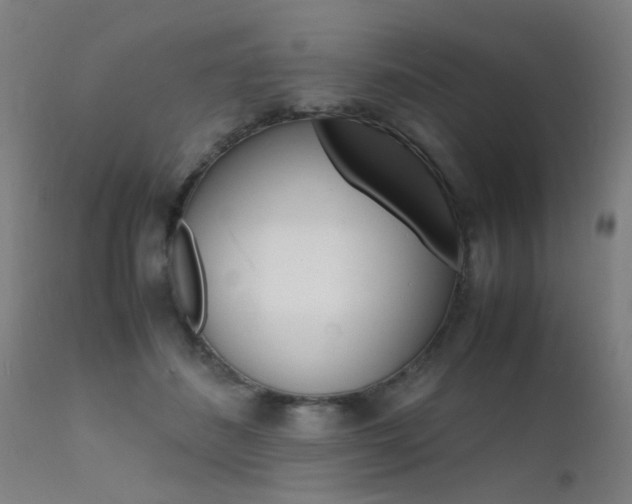 X0000112150508200908071006