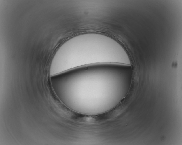 X0000112150509200908071006