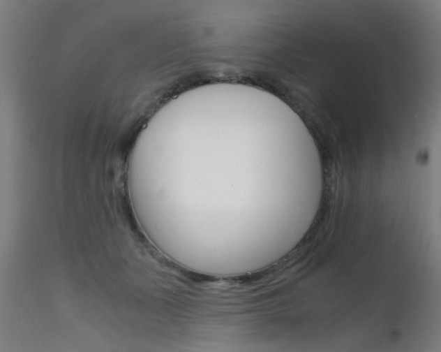 X0000112150511200908071006