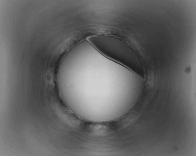 X0000112150512200908071006