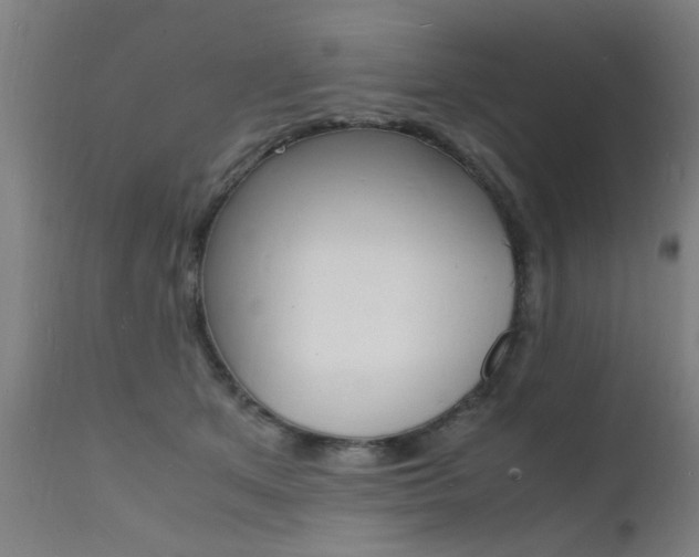 X0000112150513200908071006