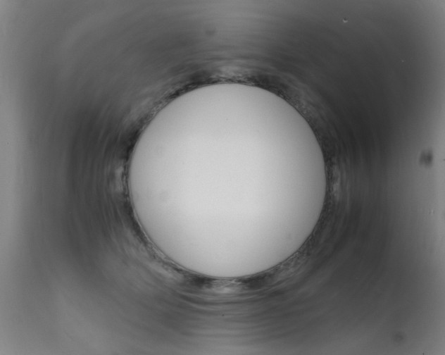 X0000112150514200908071006