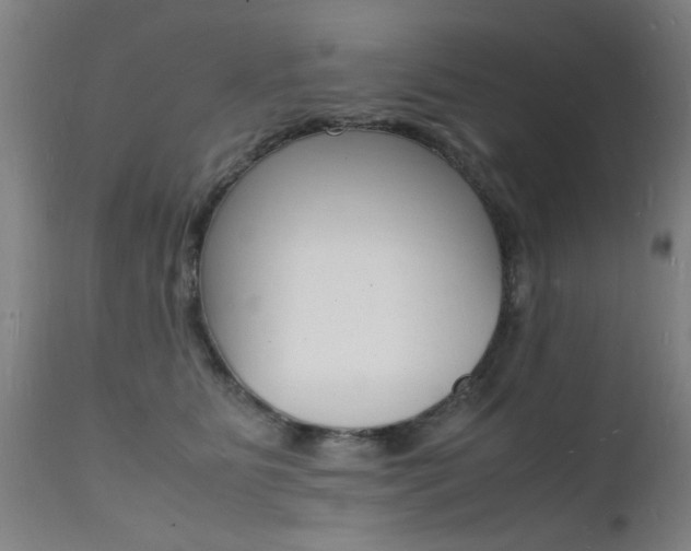 X0000112150515200908071006
