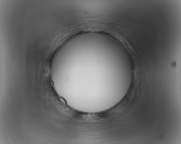 X0000112150517200908071006