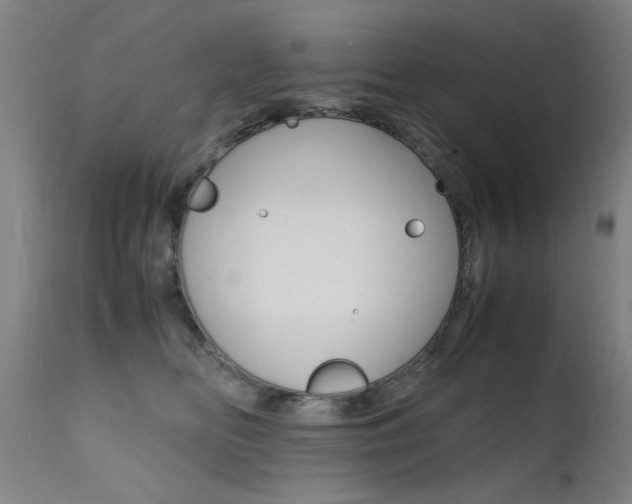 X0000112150518200908071006