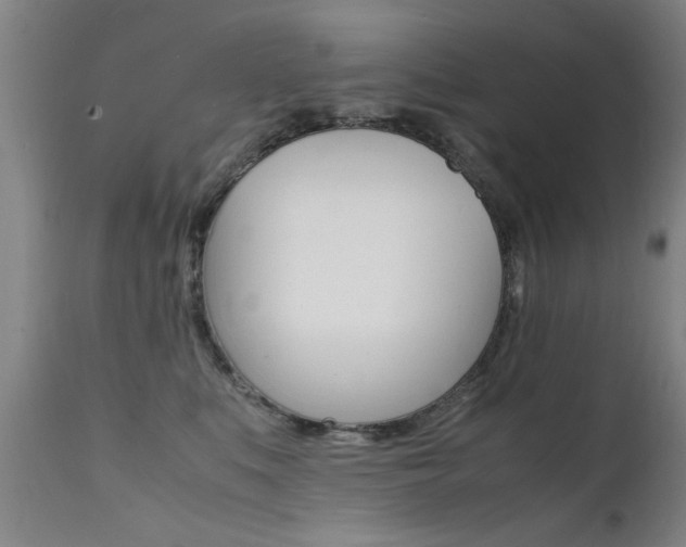 X0000112150519200908071006