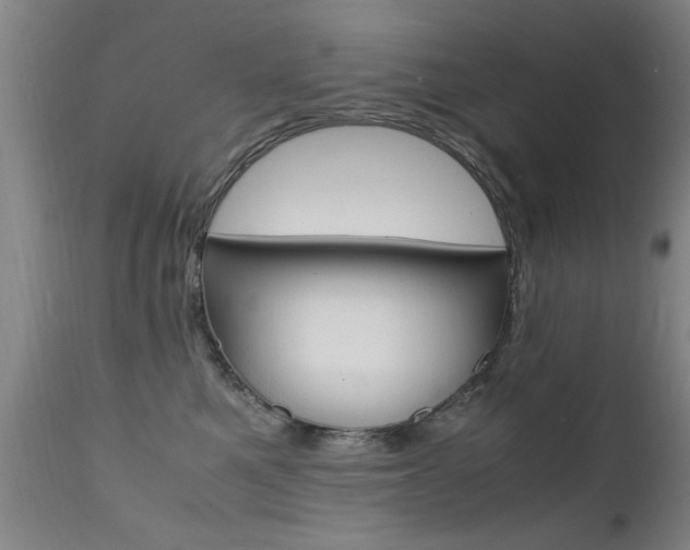 X0000112150521200908071006