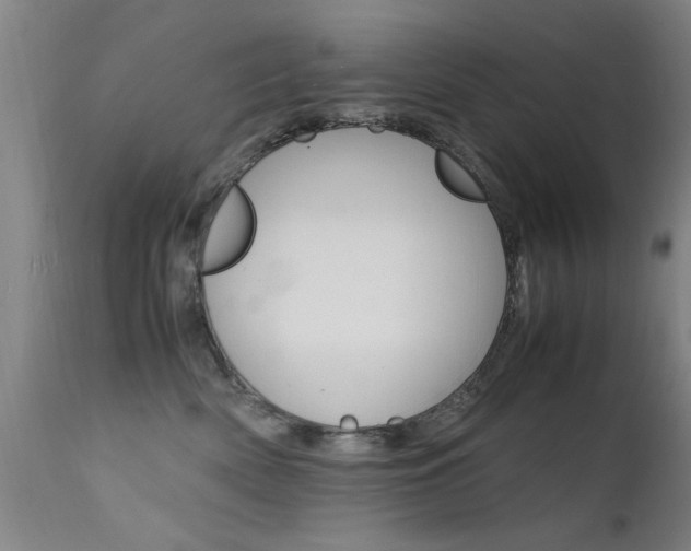 X0000112150522200908071006
