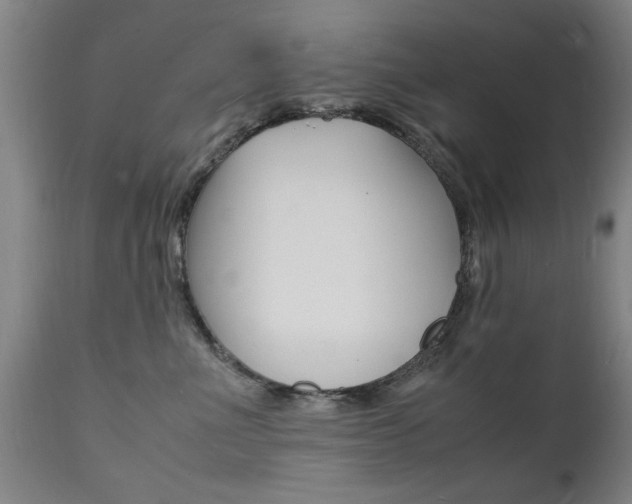 X0000112150523200908071006