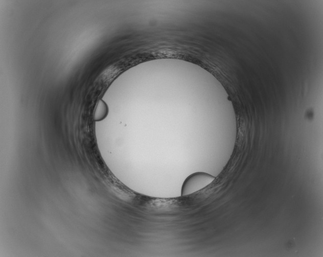 X0000112150526200908071006