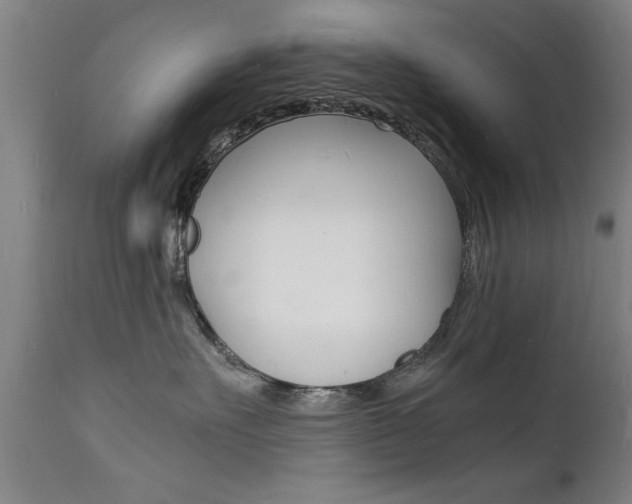X0000112150527200908071006