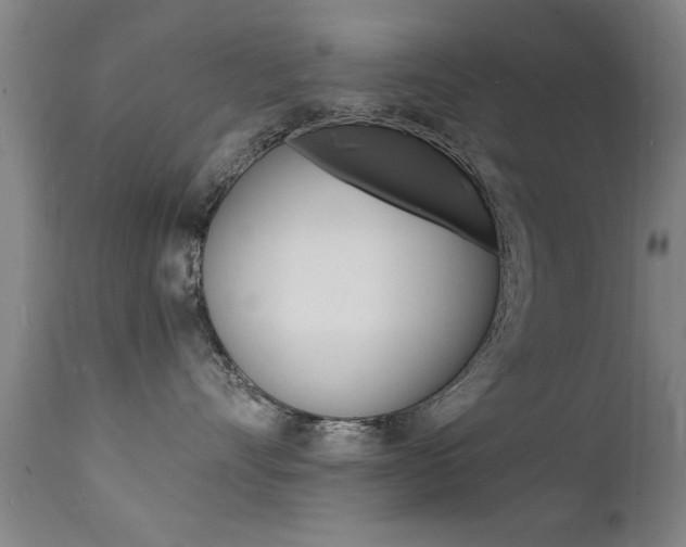 X0000112150528200908071006