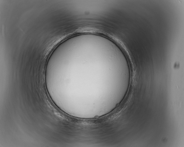 X0000112150529200908071005