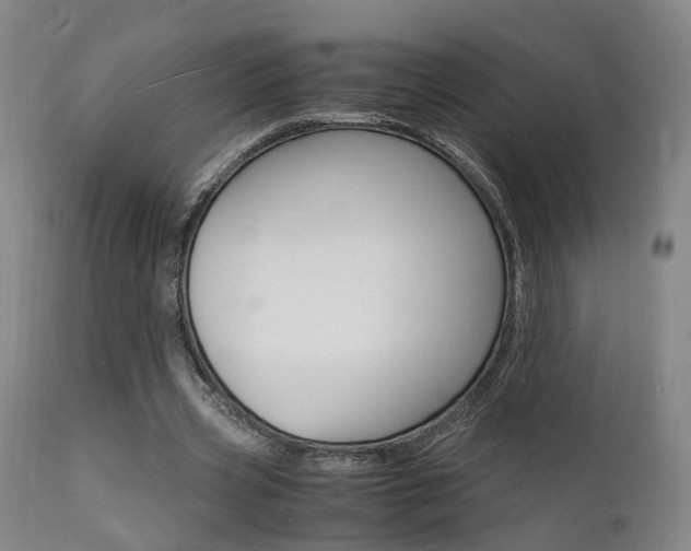 X0000112150533200908071005