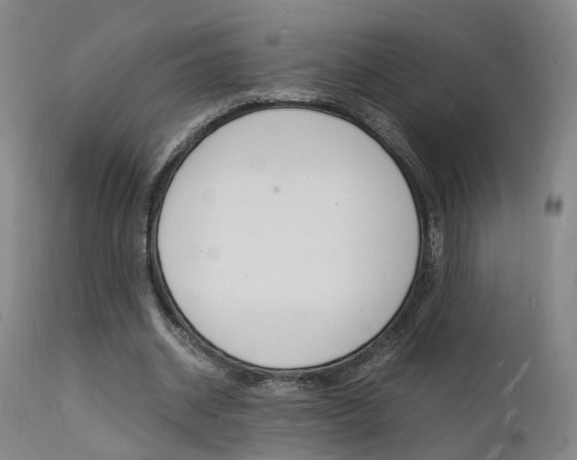 X0000112150534200908071005