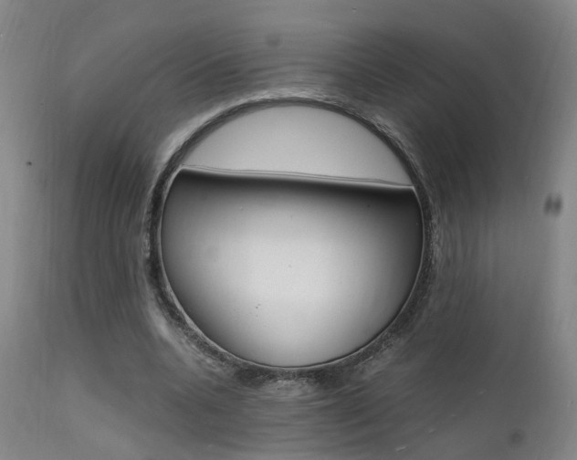 X0000112150536200908071005