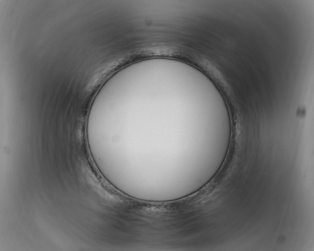 X0000112150537200908071005