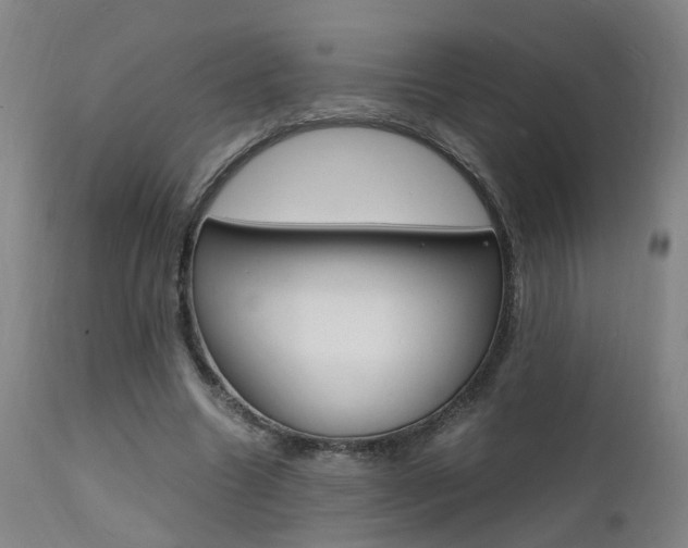 X0000112150538200908071005