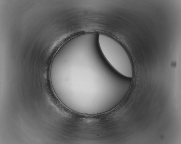 X0000112150539200908071005