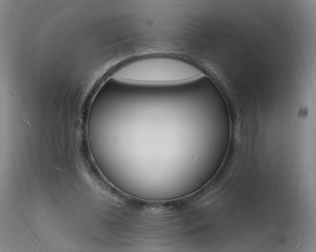 X0000112150540200908071005