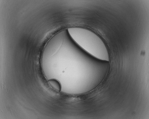 X0000112150543200908071005