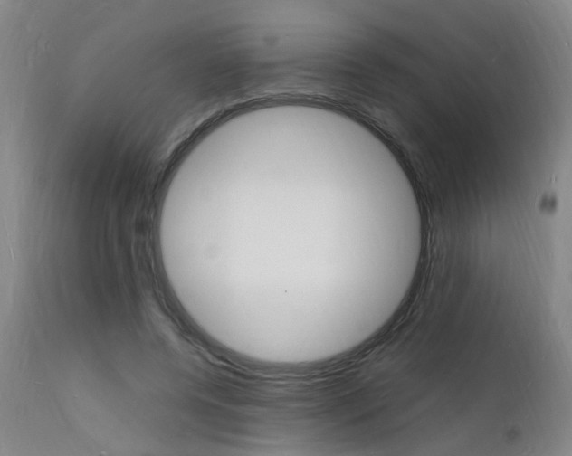 X0000112150544200908071005