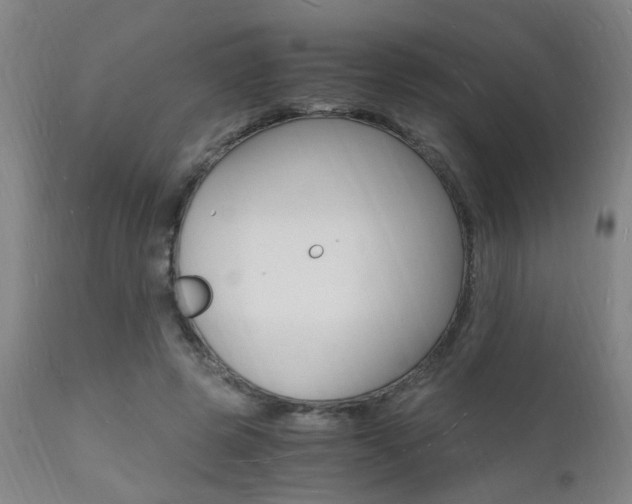 X0000112150545200908071005